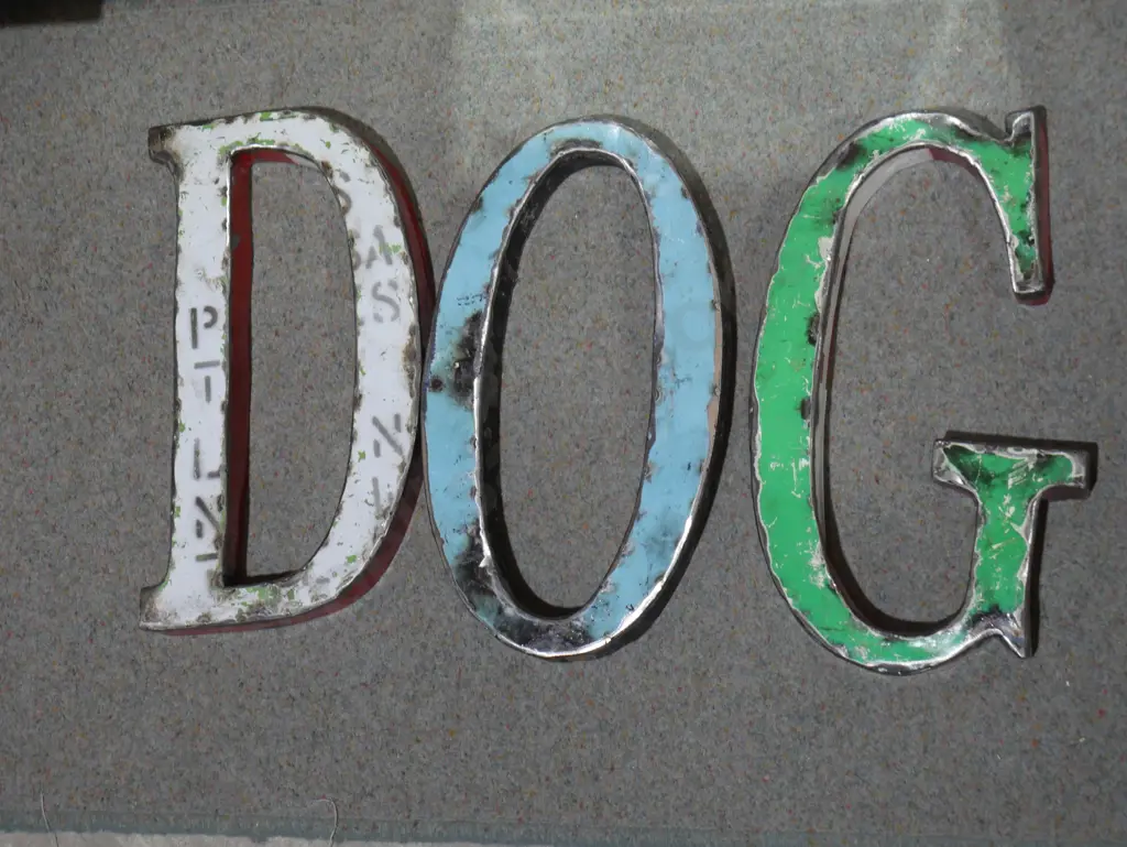 Dog/ God letters Image 1++