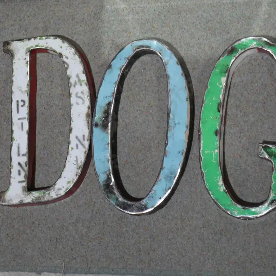 Dog/ God letters
