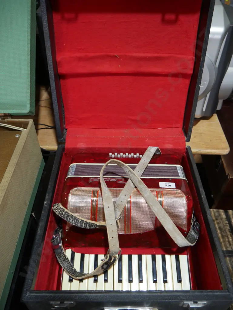 Parrot piano accordion Image 1++