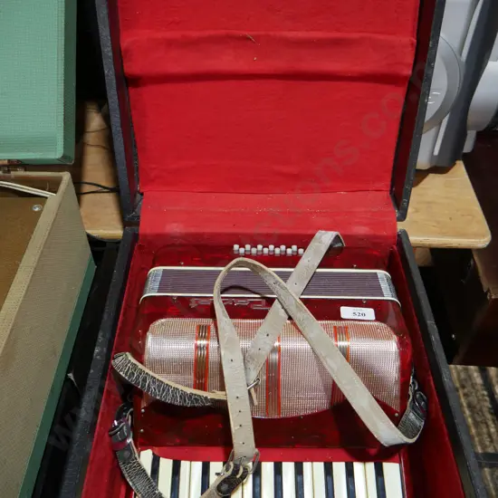 Parrot piano accordion