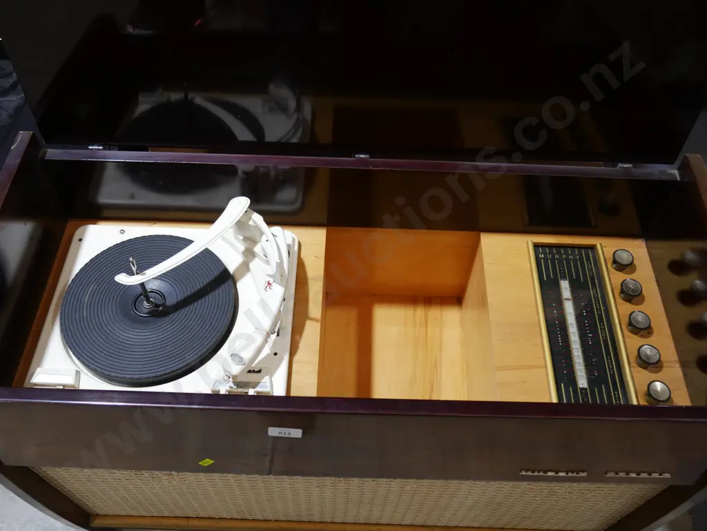 Murphy stereo radiogram Image 1++