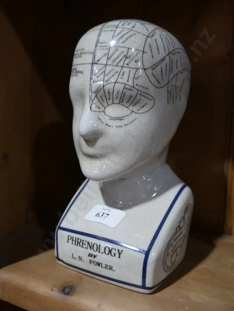 Phonology head Image 1++