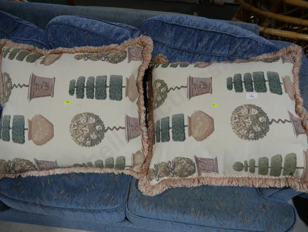 2 cushions Image 1++