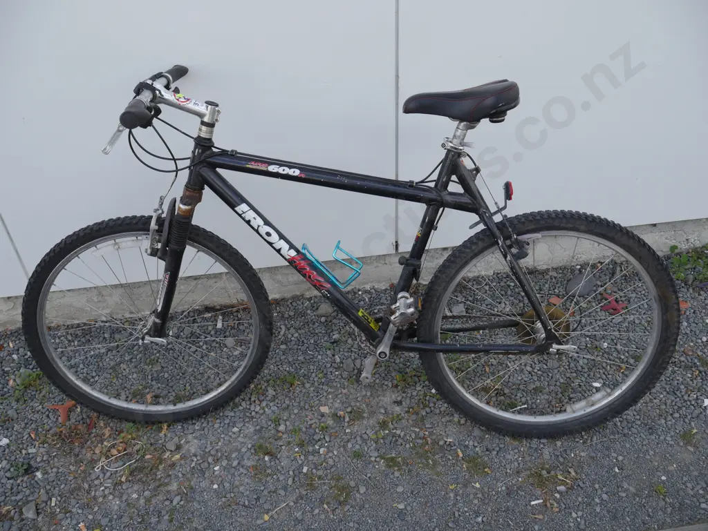 Ironhorse mountain bike Image 1++