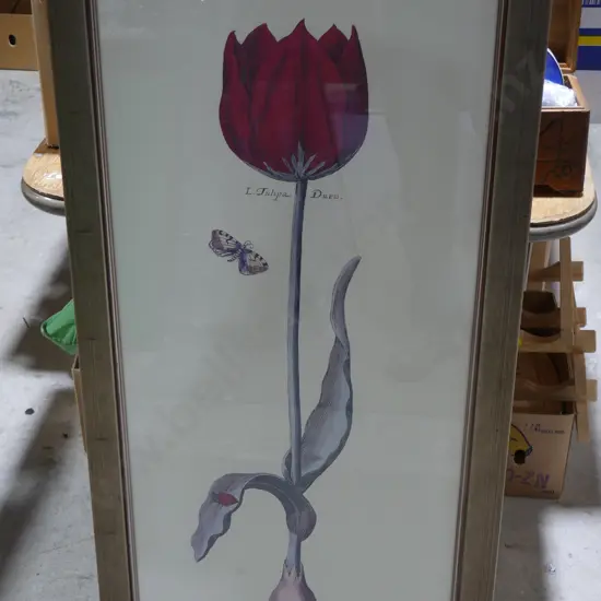 Tulip artwork