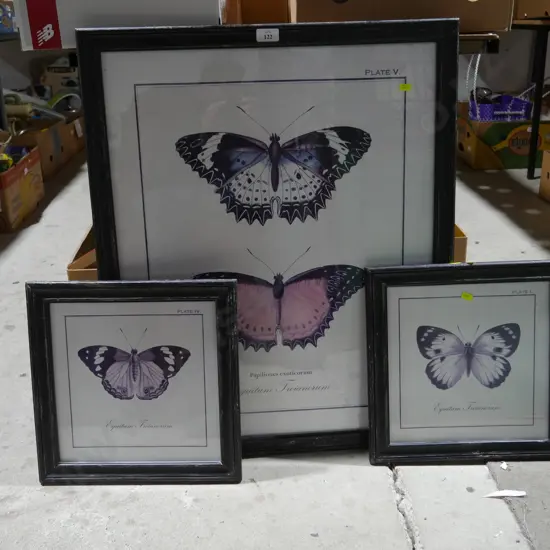 Assorted butterfly artworks