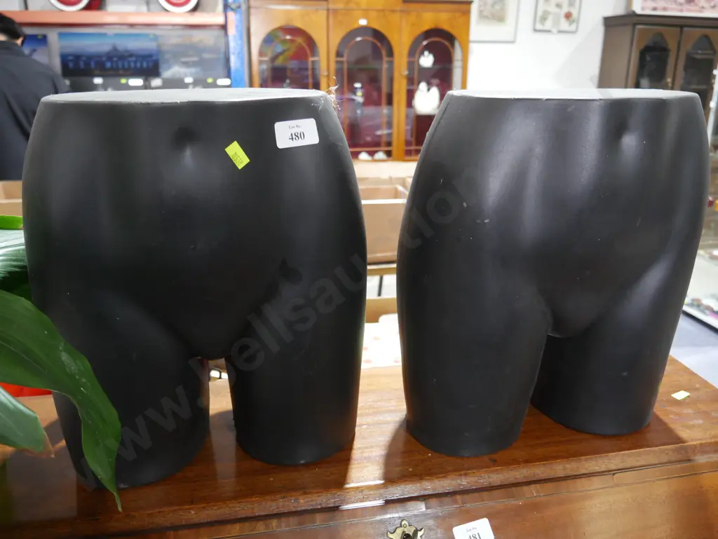 Plastic torso Image 1++