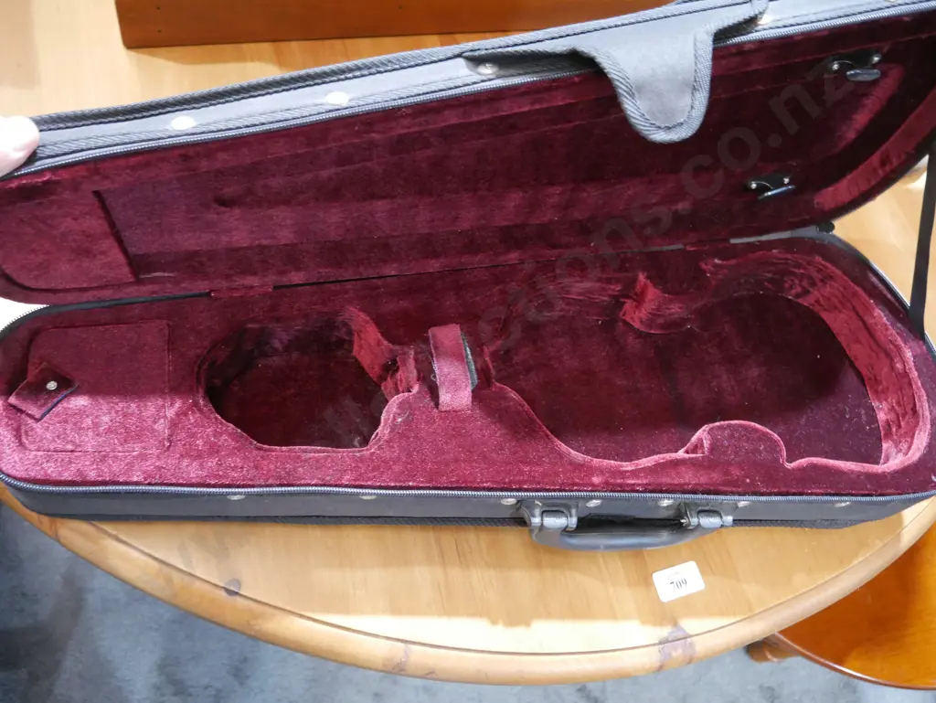Violin case Image 1++