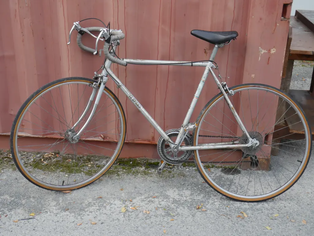 12 speed bike Image 1++