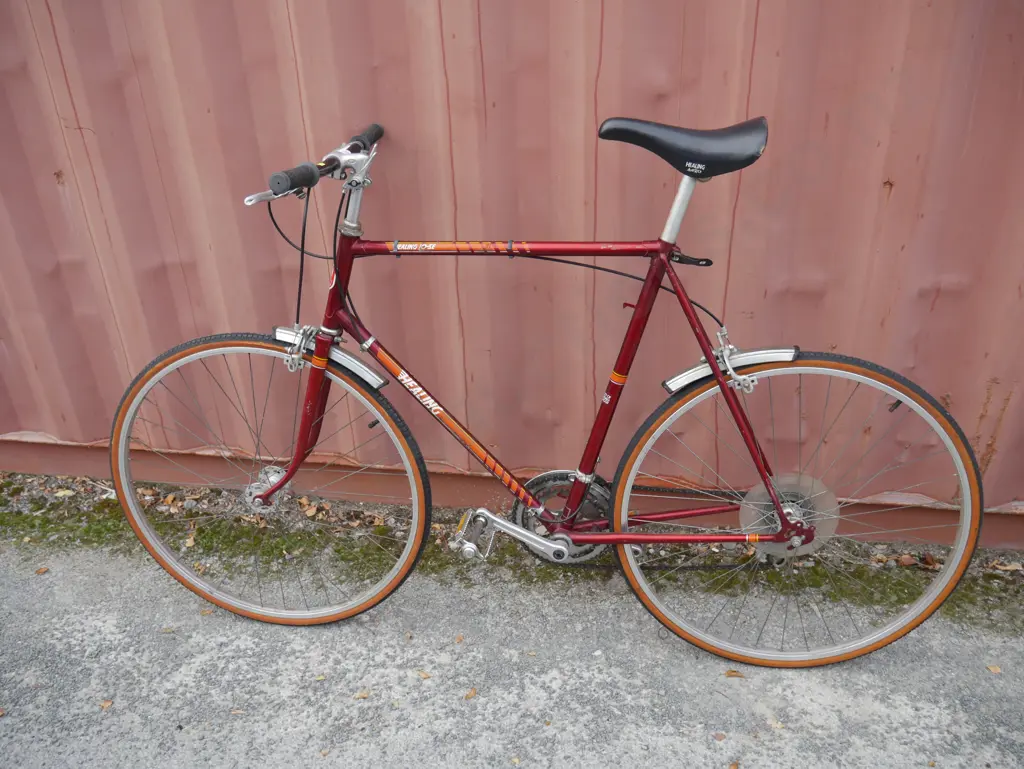 Healing road bike Image 1++