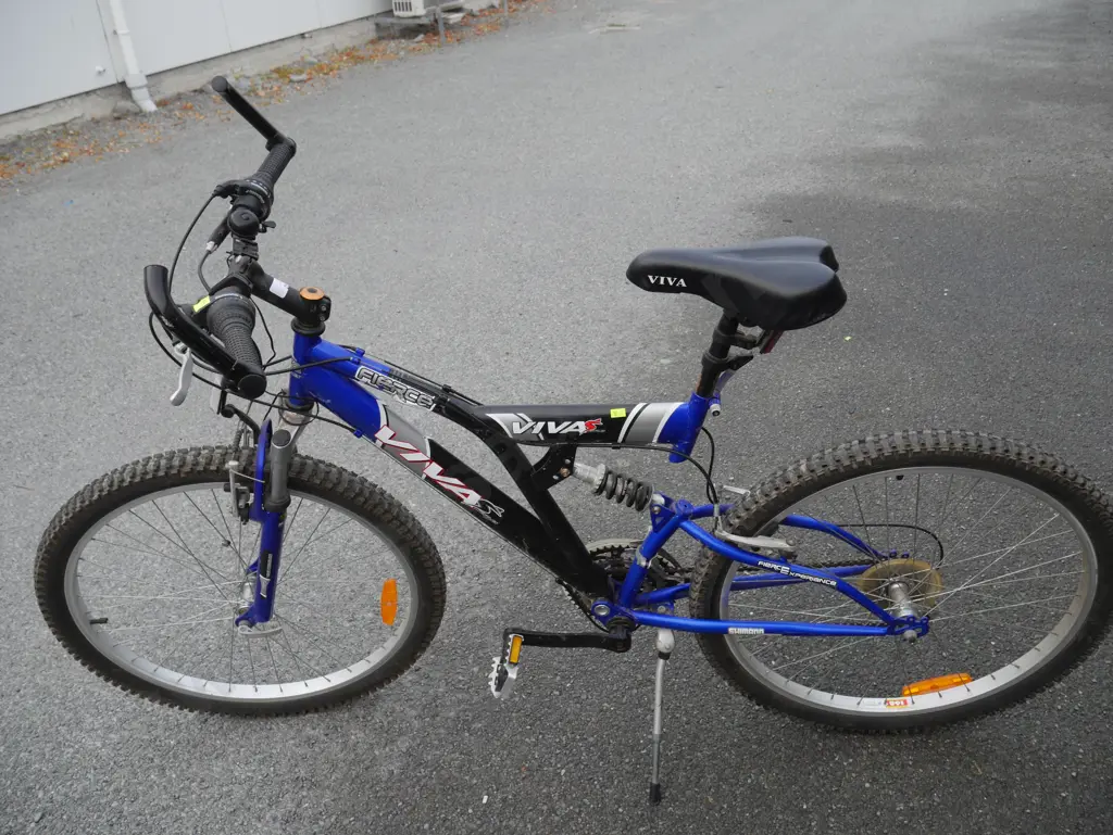 Viva mountain bike Image 1++