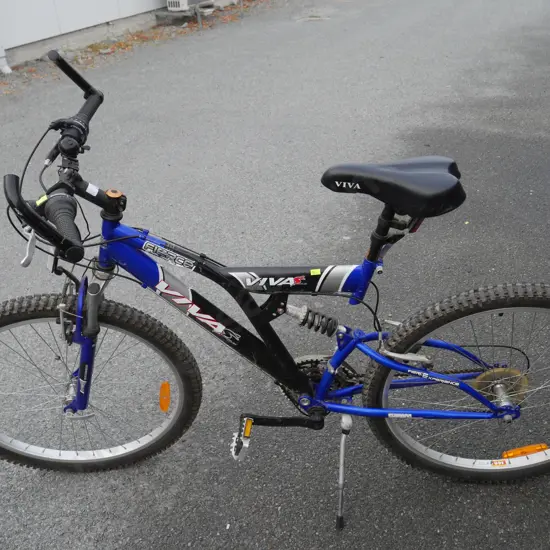 Viva mountain bike