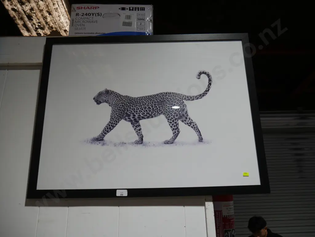 Leopard picture Image 1++