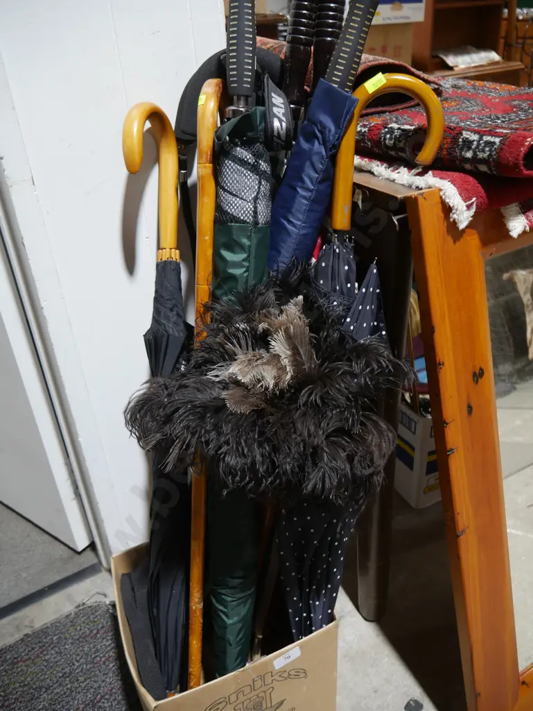 Umbrellas, walking sticks, feather duster Image 1++