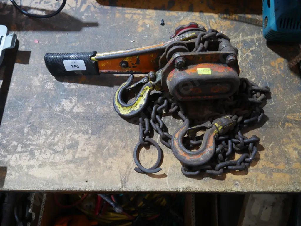 Chain hoist Image 1++