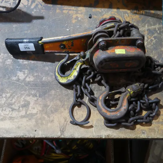 Chain hoist