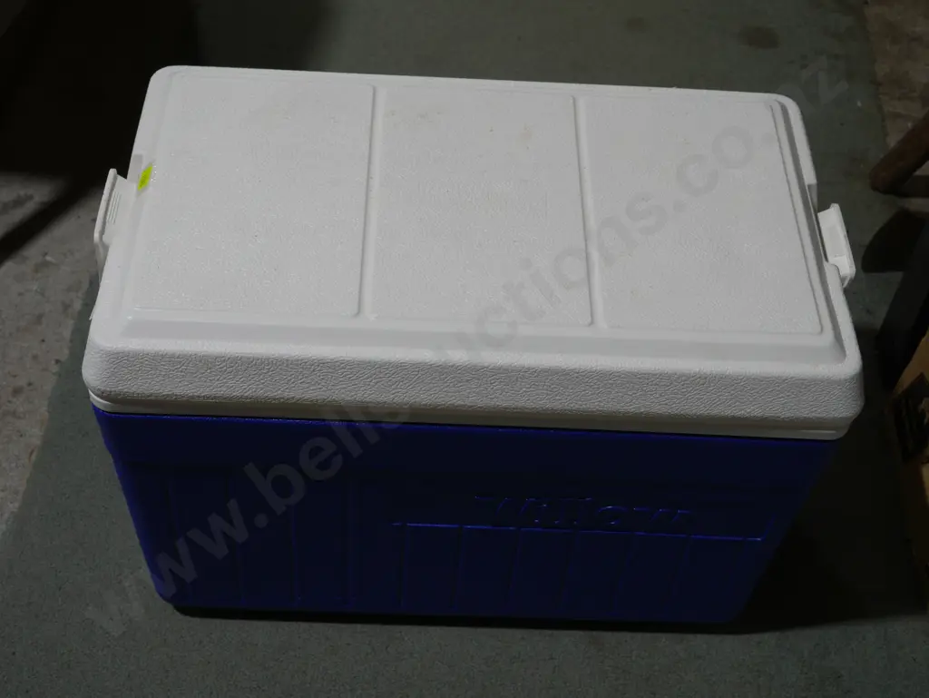 Chilly bin Image 1++