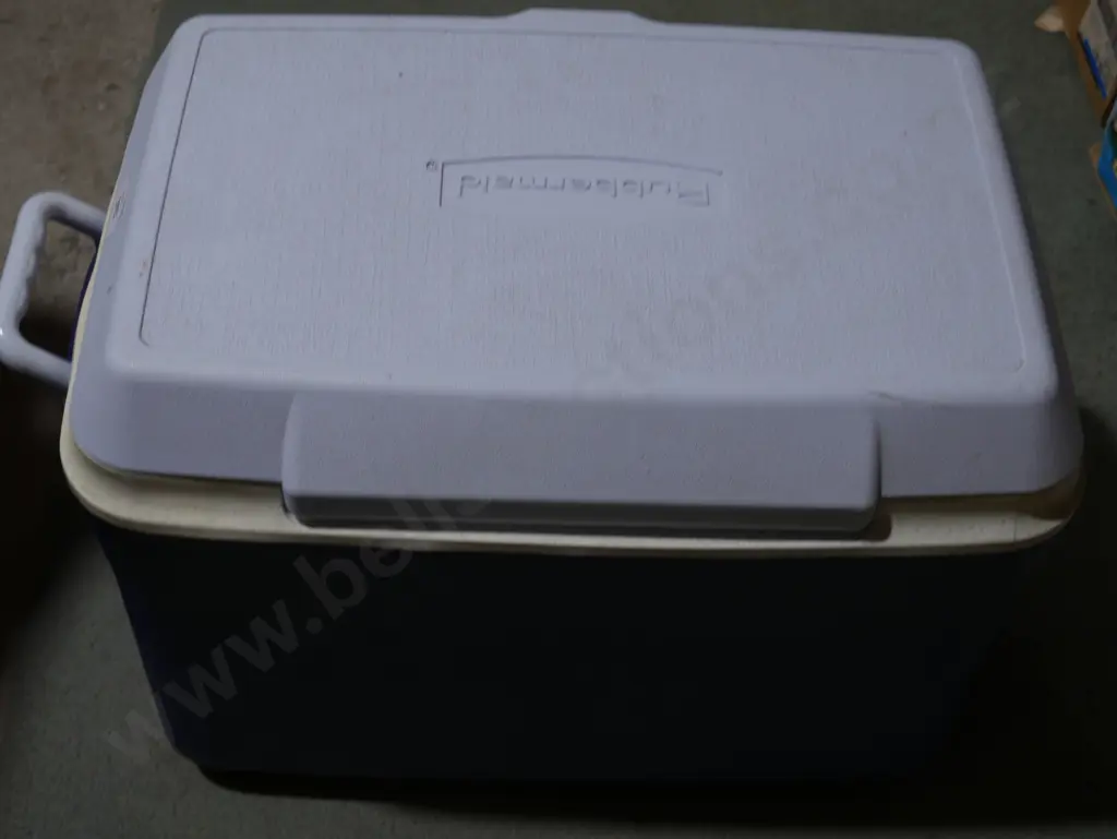 Chilly bin Image 1++