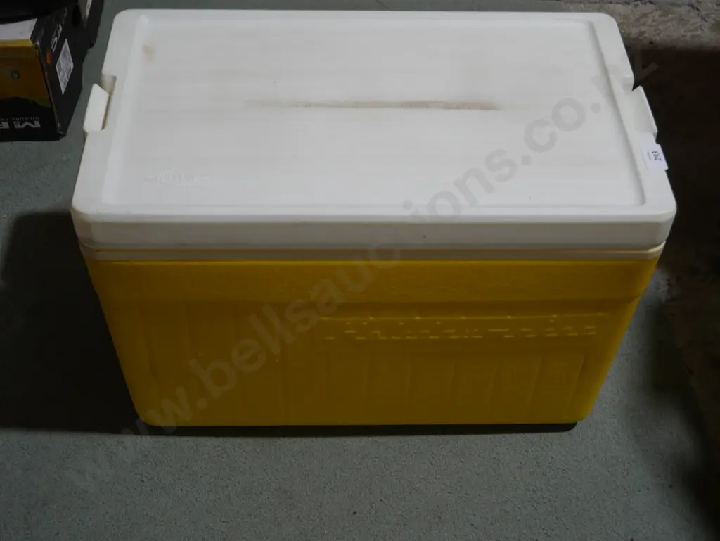 Chilly bin Image 1++