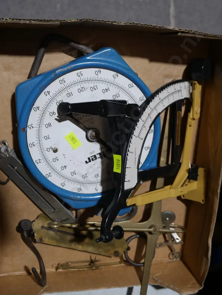 Assorted scales Image 1++