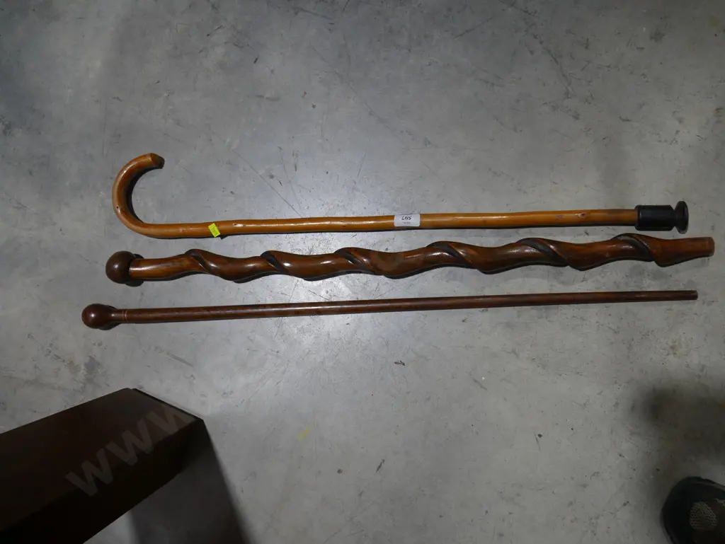 Walking sticks Image 1++