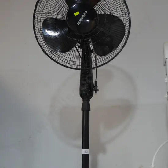 Fan