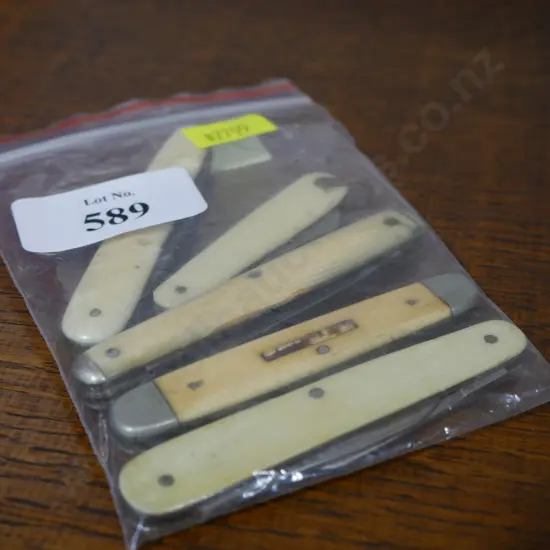 Bone handle pocket knives