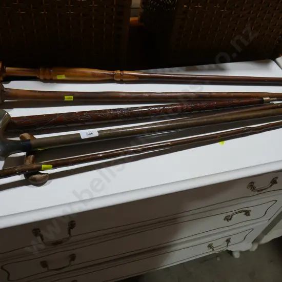 6 walking sticks
