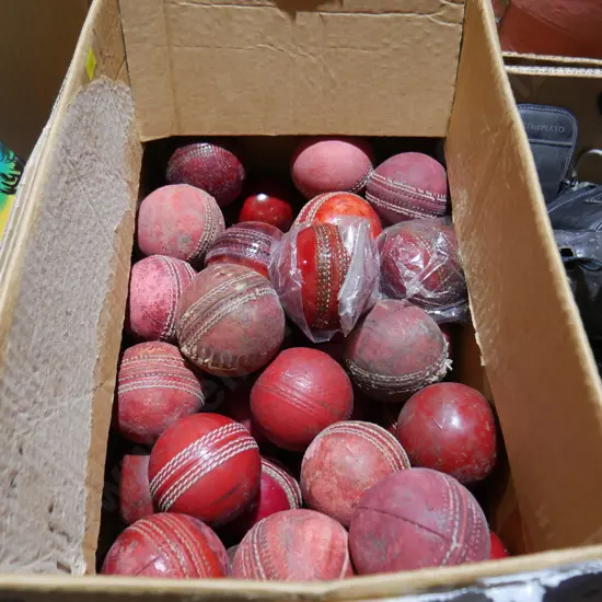 Cricket balls