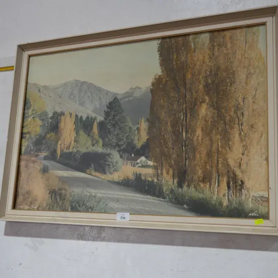 Whites Aviation picture, Lake Hayes