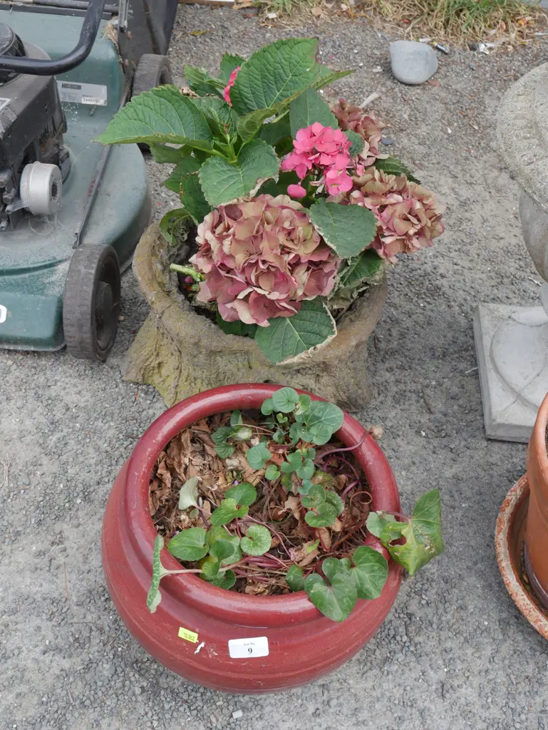 2 potted plants Image 1++