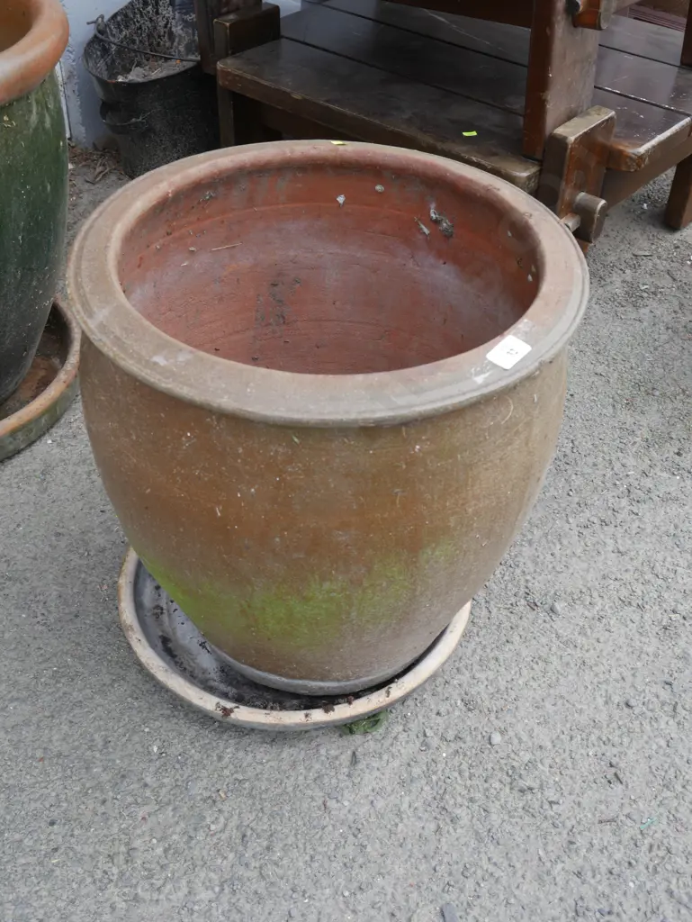 Large plant pot Image 1++
