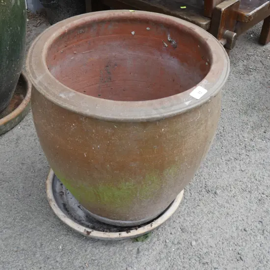 Large plant pot