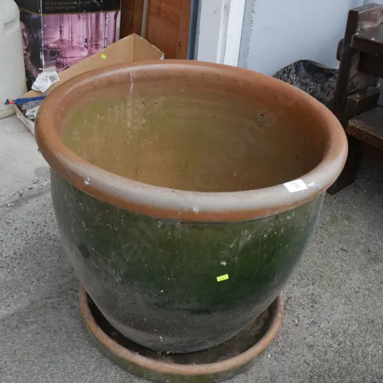 Large plant pot