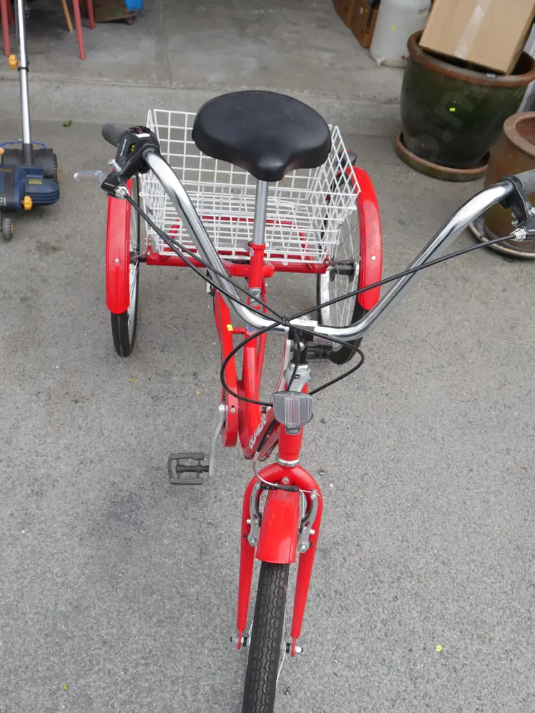 Gomier adults tricycle Image 1++