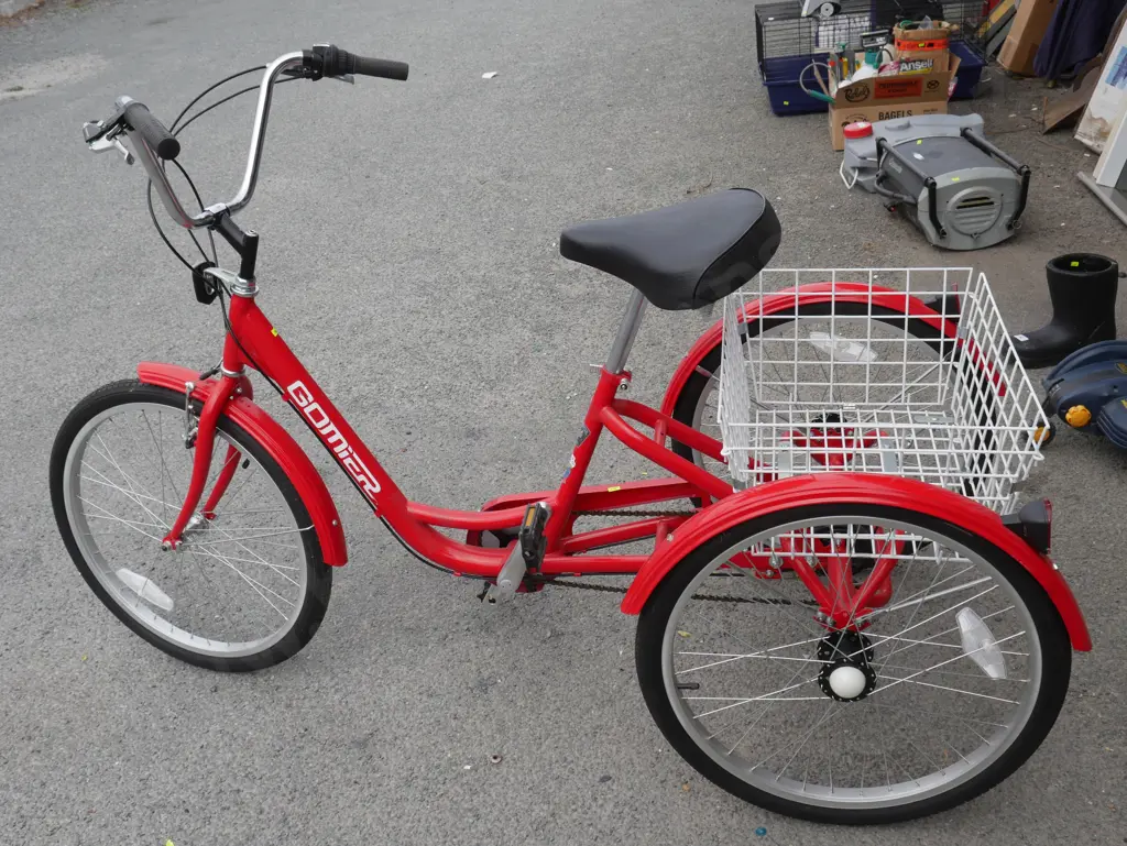 Gomier adults tricycle Image 1++