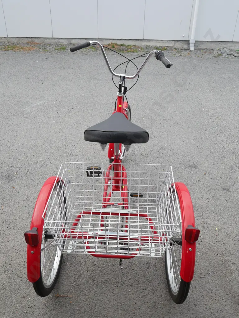 Gomier adults tricycle Image 1++