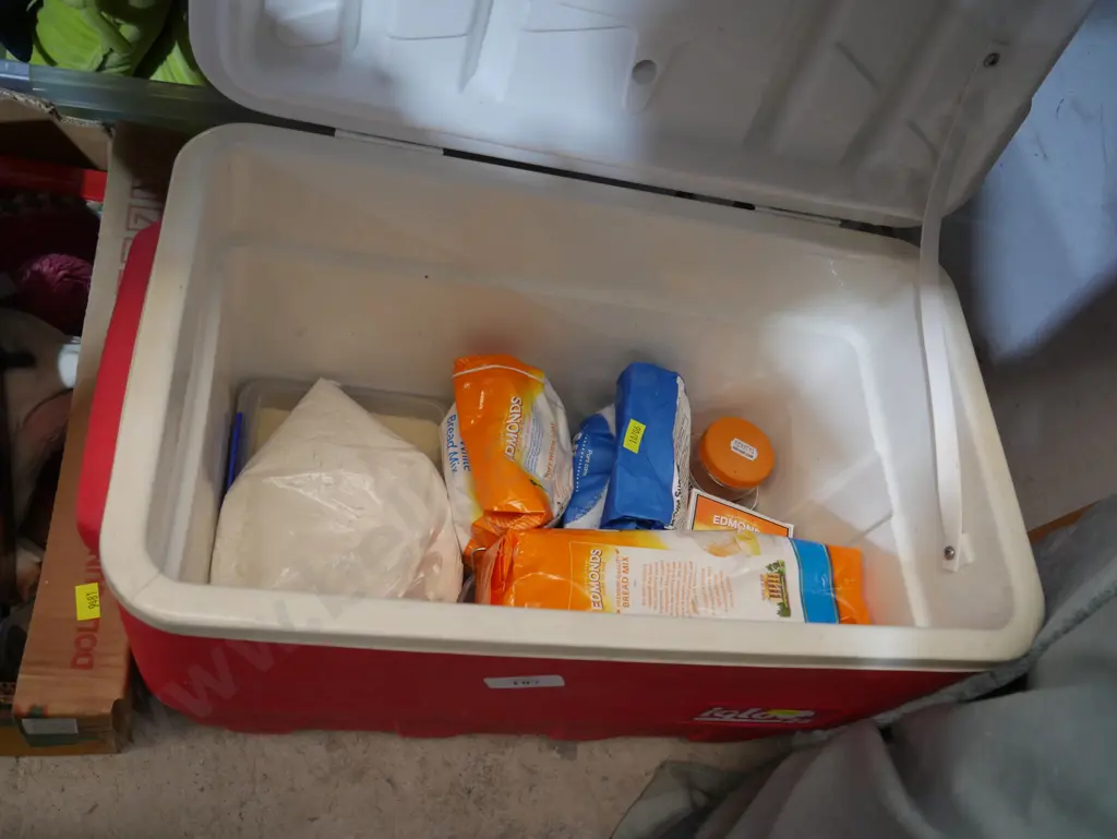 Chilly bin Image 1++