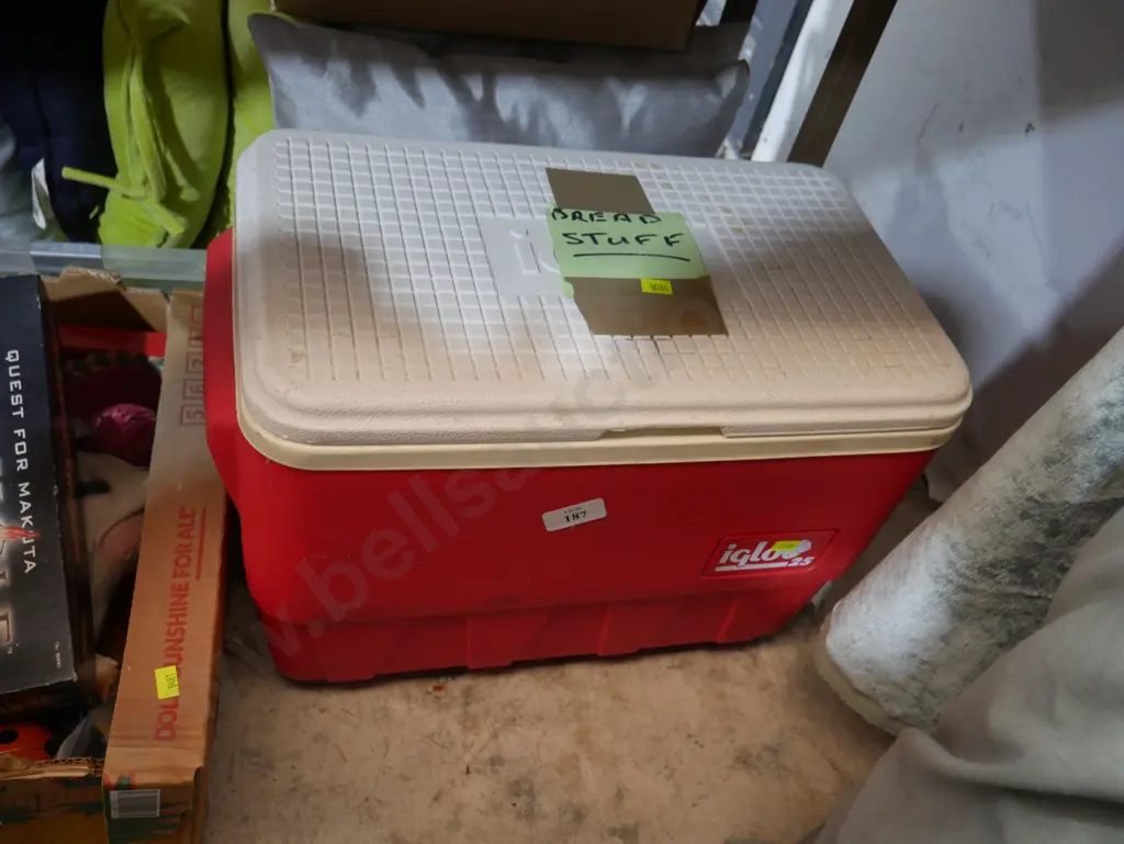 Chilly bin Image 1++