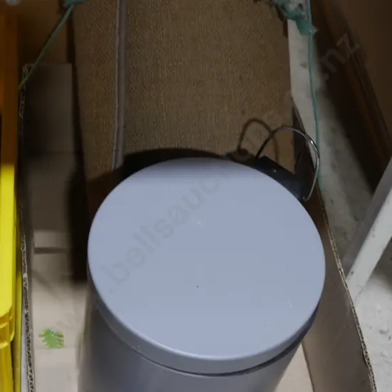 Floor rug and rubbish bin