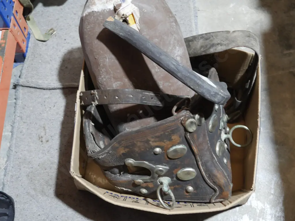 Horse harness etc Image 1++
