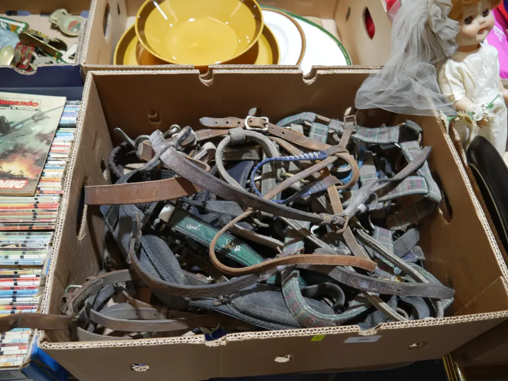 Horse leathers etc Image 1++
