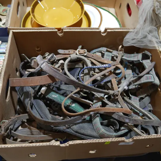 Horse leathers etc