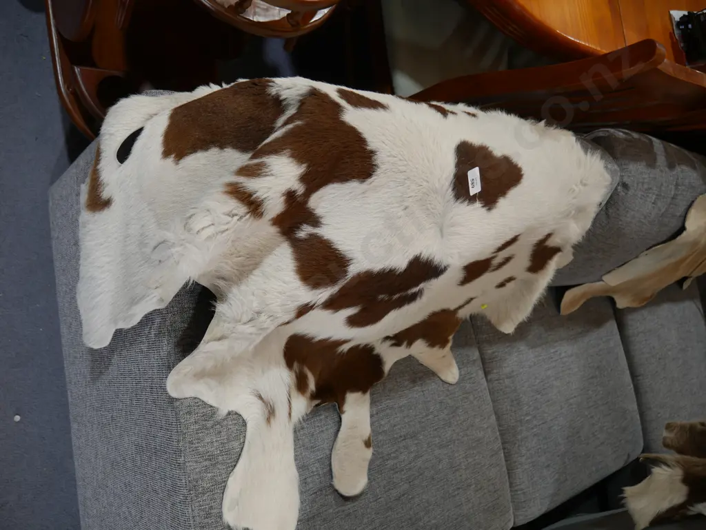 Calf hide Image 1++