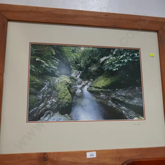 Framed photograph