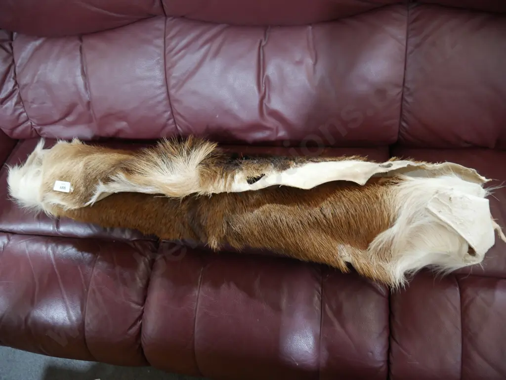 Animal hides Image 1++