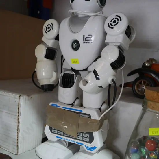 Remote control robot