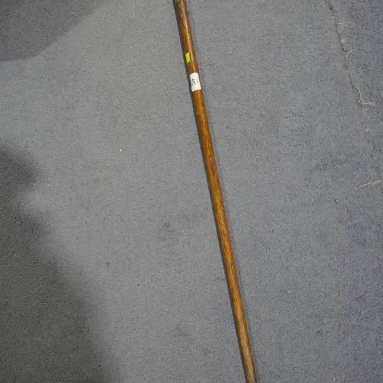 Walking stick