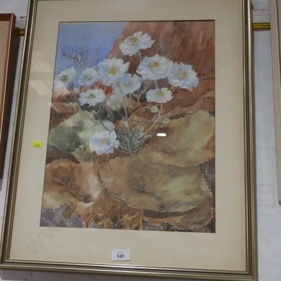 Framed Emily Wilson artwork