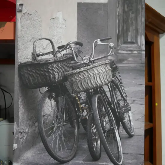 Bicycle canvas